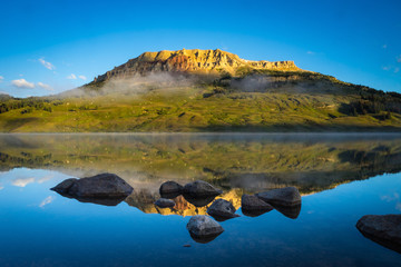 常用的市场信息服务渠道有
