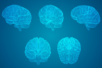 常用的市场信息服务渠道有