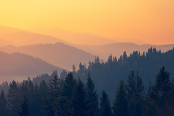 常用的市场信息服务渠道有