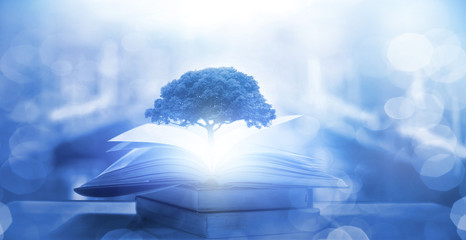 常用的市场信息服务渠道有