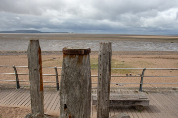 常用的市场信息服务渠道有