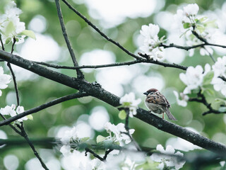 我马上要去面试 重庆凯宾斯基酒店的客房部秘书 要准备些什么啊 薪酬怎么样呢