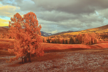 我马上要去面试 重庆凯宾斯基酒店的客房部秘书 要准备些什么啊 薪酬怎么样呢