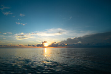 常用的市场信息服务渠道有