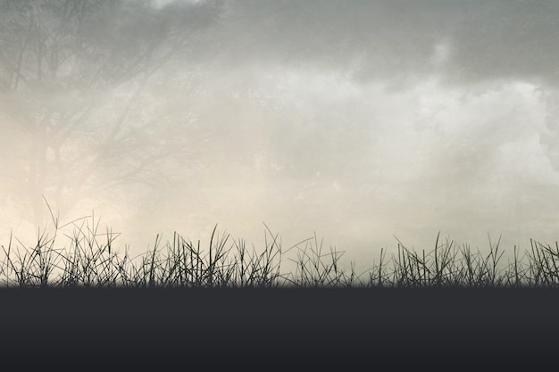 常用的市场信息服务渠道有