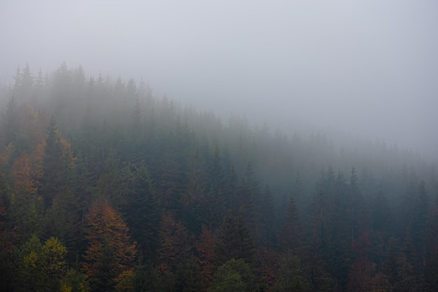 我马上要去面试 重庆凯宾斯基酒店的客房部秘书 要准备些什么啊 薪酬怎么样呢