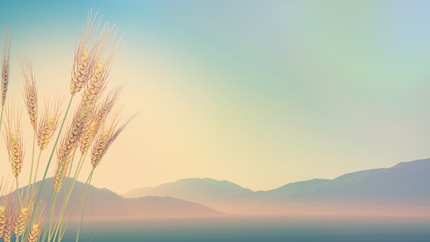 常用的市场信息服务渠道有