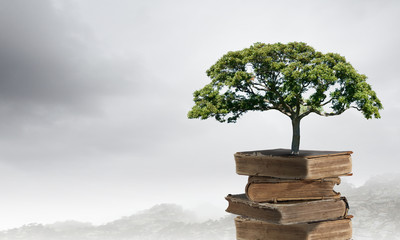 我马上要去面试 重庆凯宾斯基酒店的客房部秘书 要准备些什么啊 薪酬怎么样呢