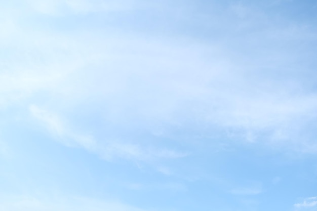 常用的市场信息服务渠道有