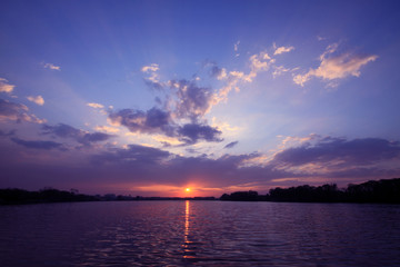 常用的市场信息服务渠道有