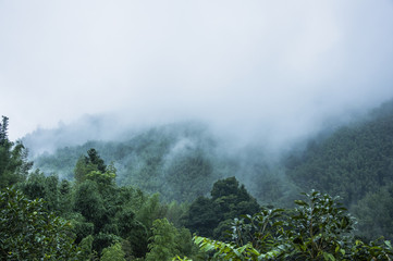 我马上要去面试 重庆凯宾斯基酒店的客房部秘书 要准备些什么啊 薪酬怎么样呢